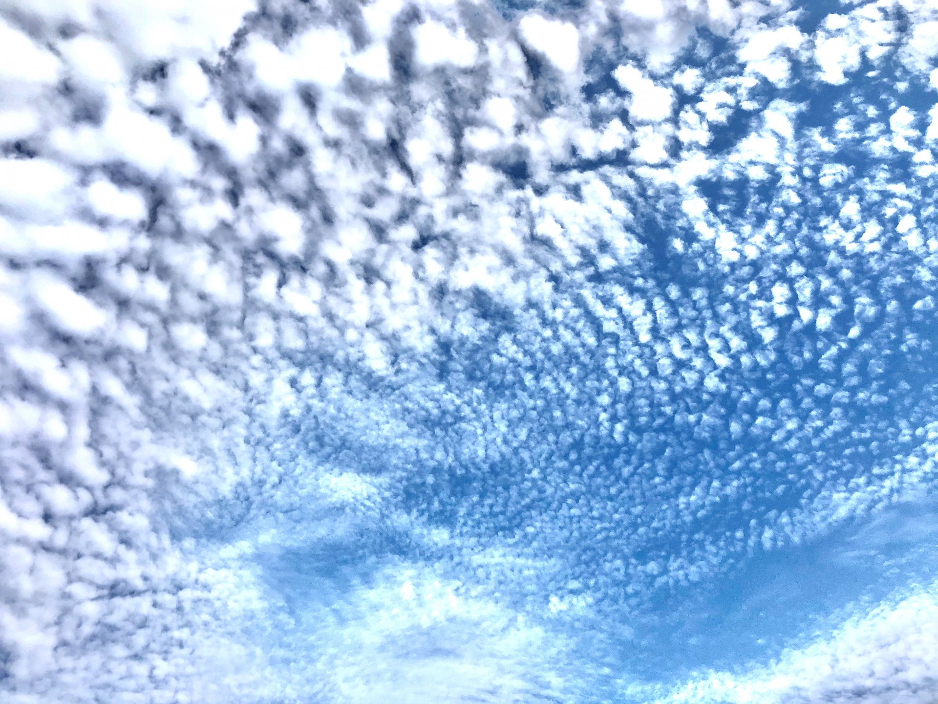 500B147D-DE8F-4FEE-A611-48DE97958C00.jpeg
