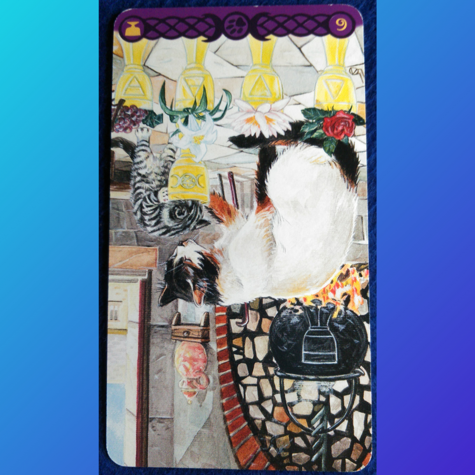 CollageMaker_20210818_004845053.jpg