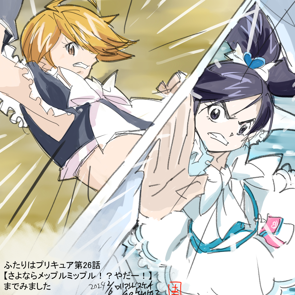 ふたりはプリキュア26.jpg