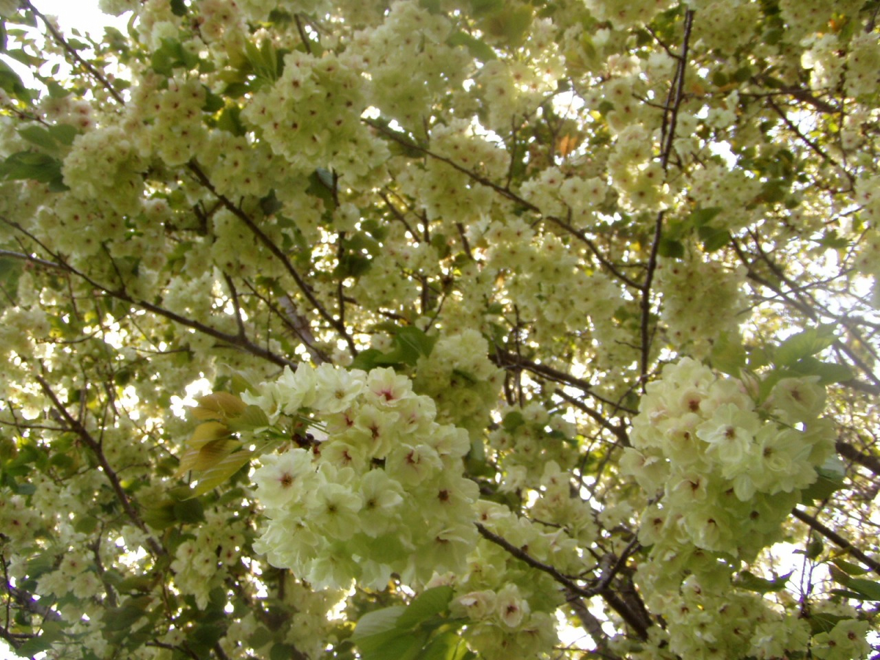 P1010015.JPG