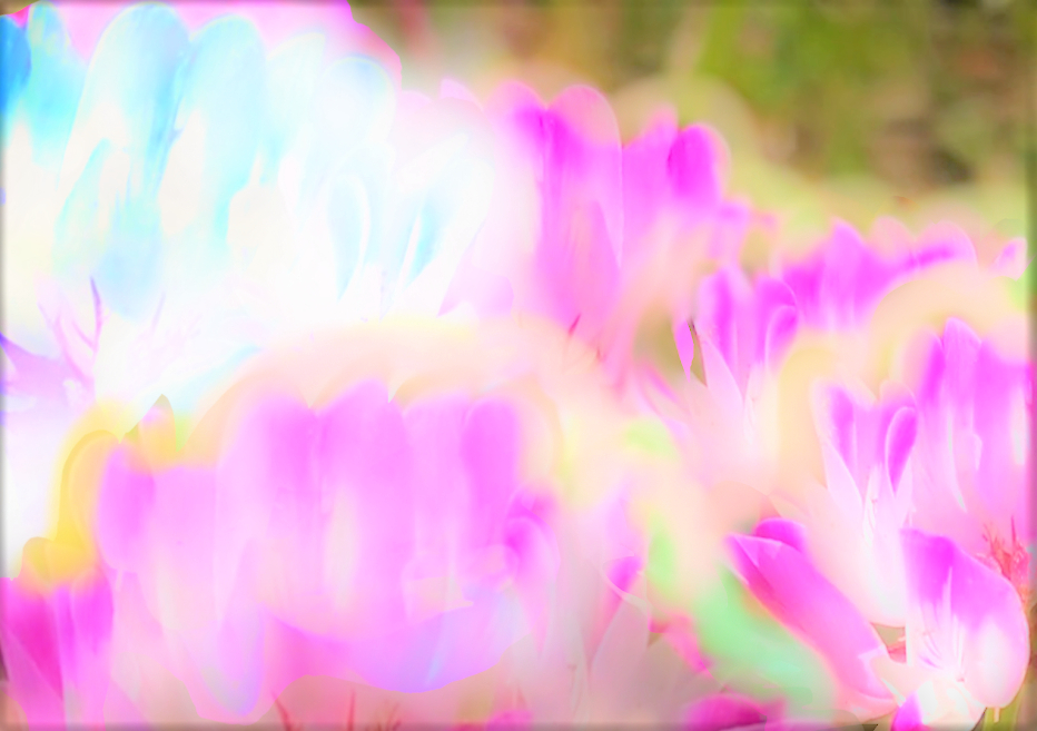 sketch-1664353283080 (3).png