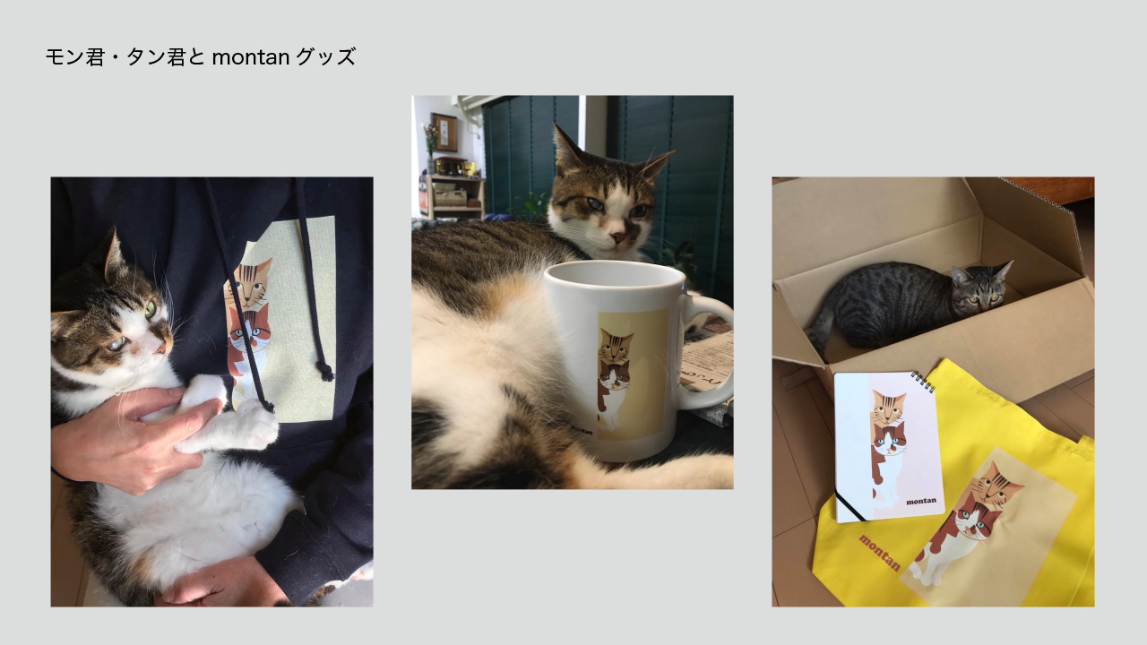 ブログ用画像12montan-4.png