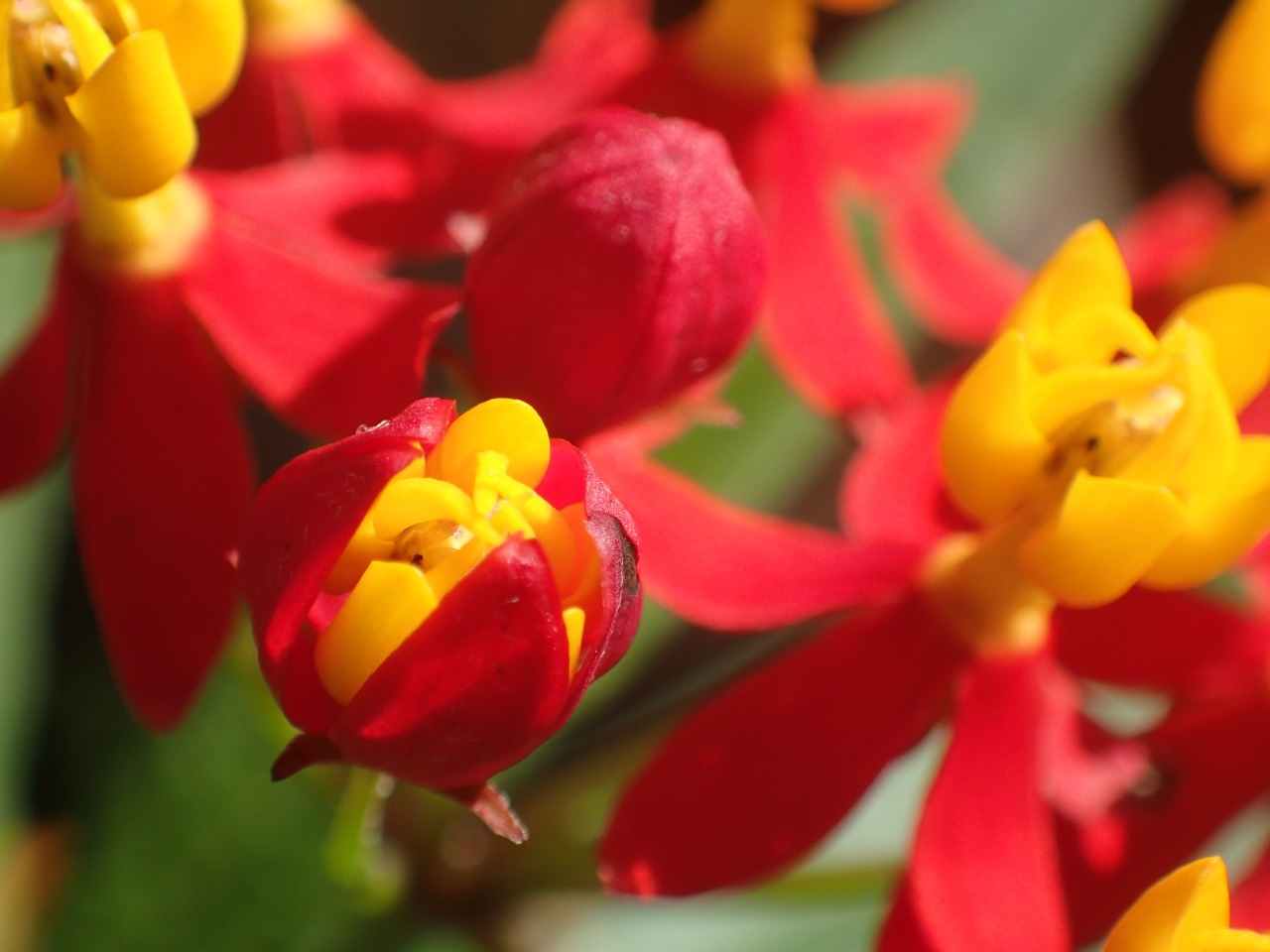 PA120719.JPG