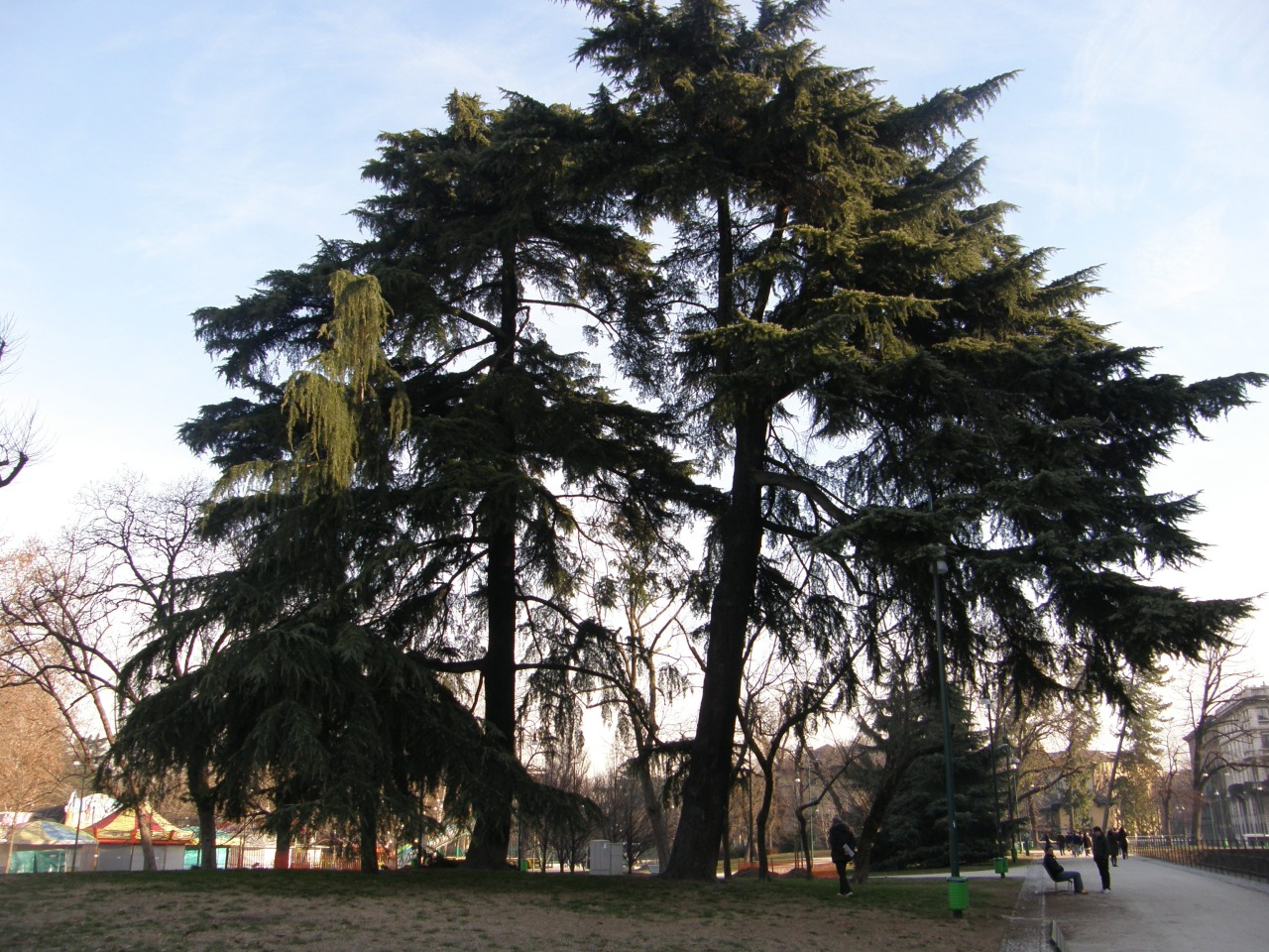 P2170391.JPG