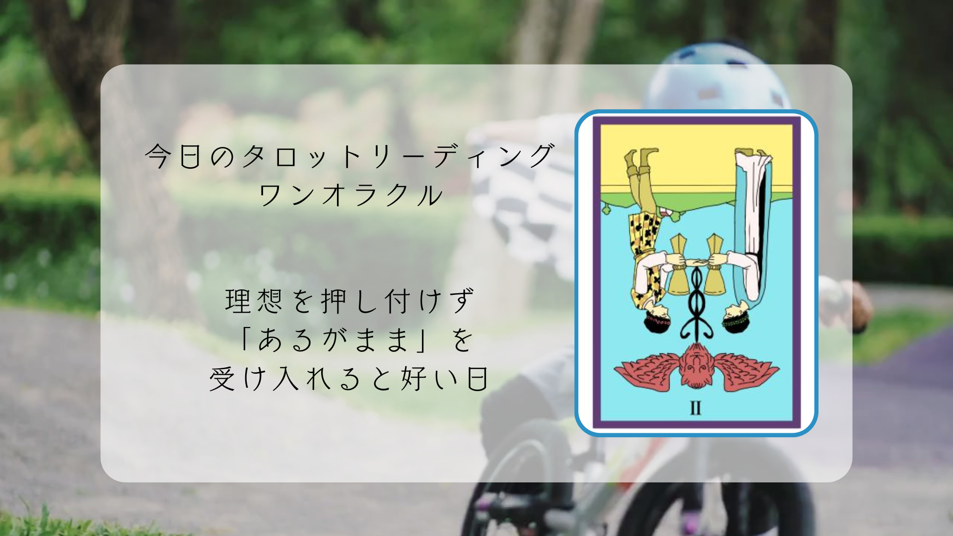 2026.2.27  カップの２逆.png