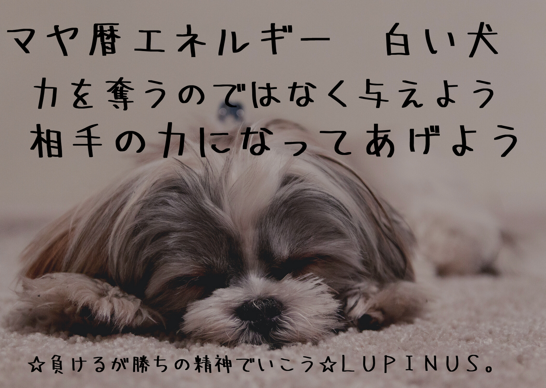 2_17_2020 - 2020-09-14T045317.788.png