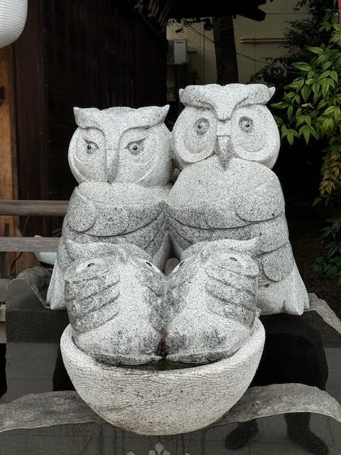 ふくろう.jpg