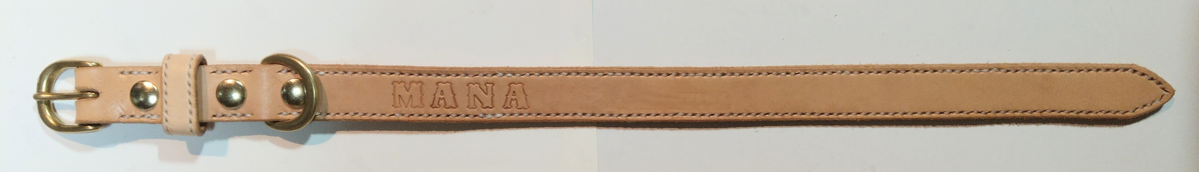 IMAG0338 - コピー.jpg