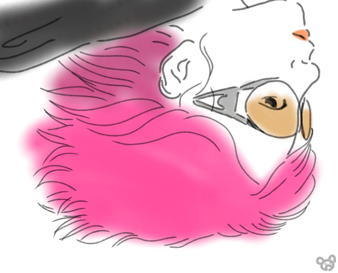 hide20240912 (1).png