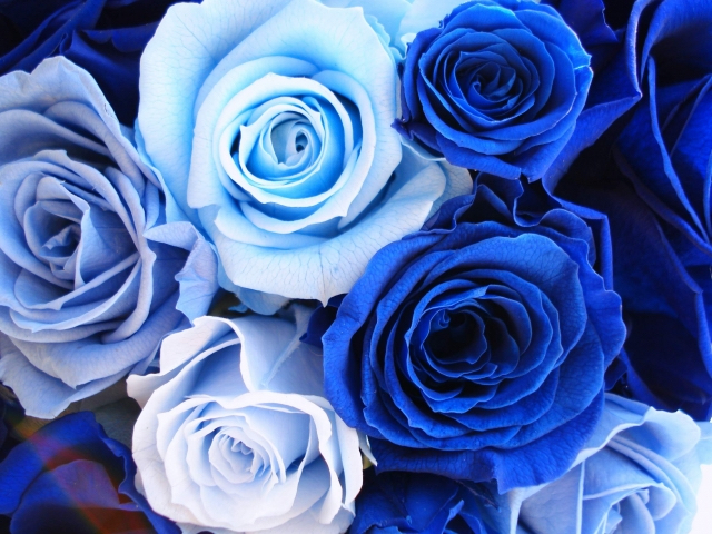 EB707FCE-BA69-4B26-8CC3-F83709BD337B.jpeg