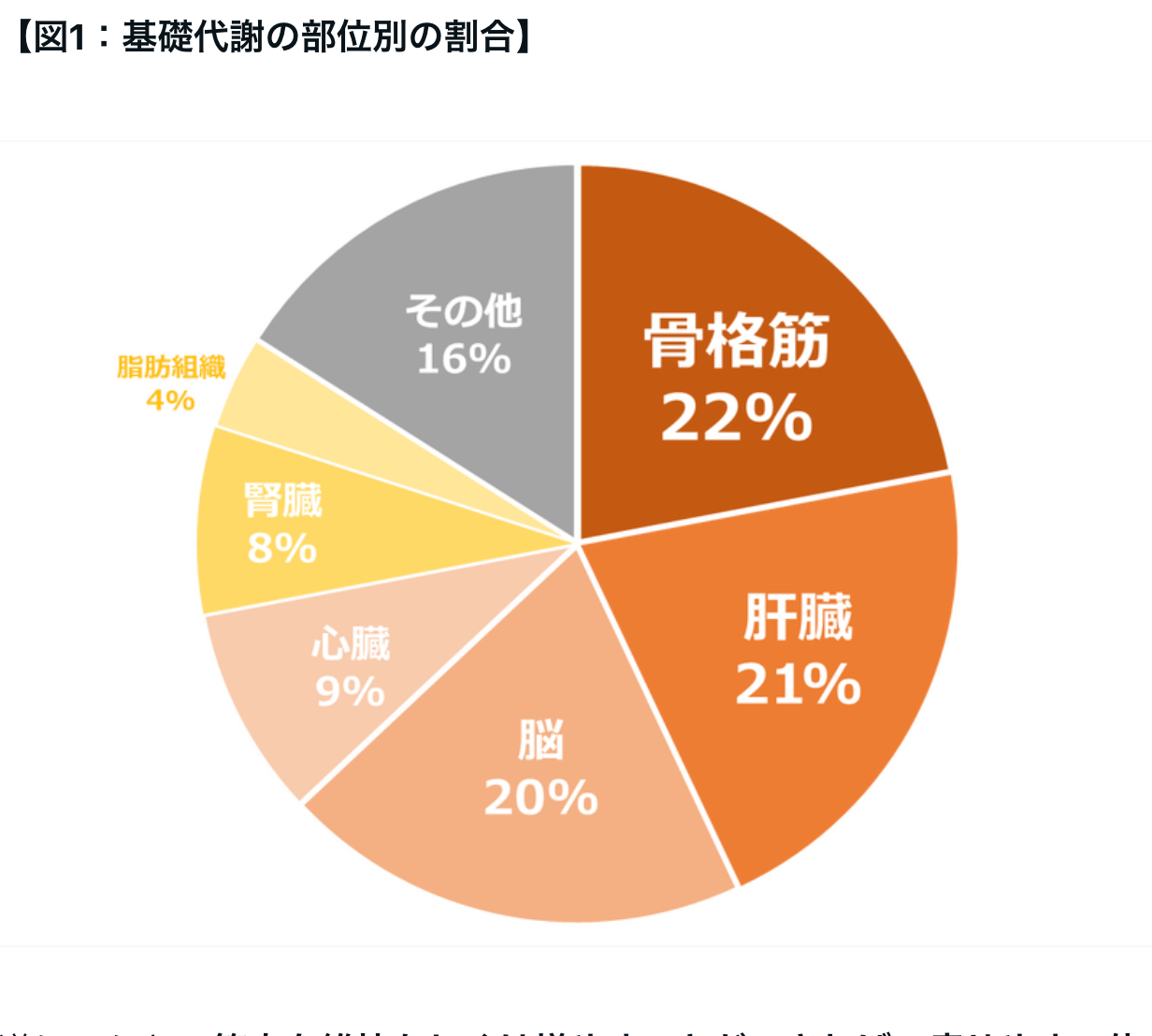 スクリーンショット 2024-01-21 16.14.36.png