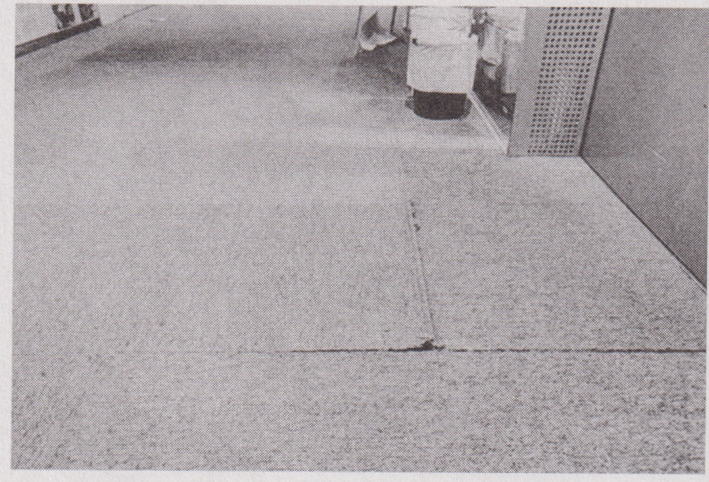 写真24.png