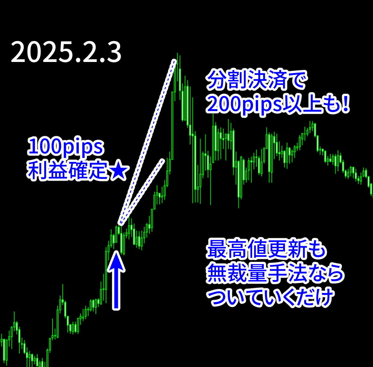 エントリー例_250203.png