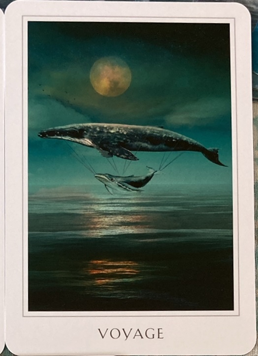 voyage.JPG