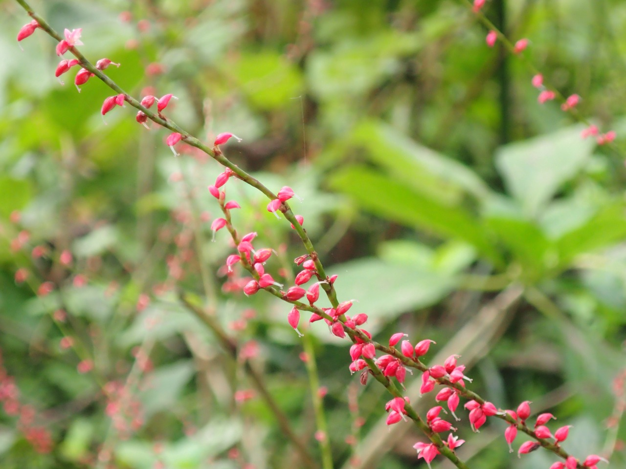 PA120670.JPG