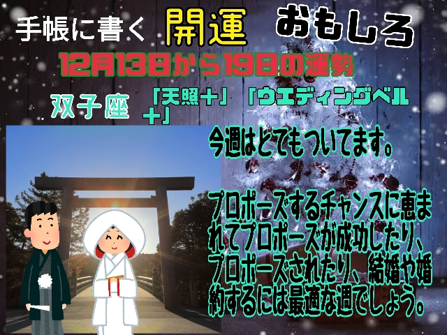 13日双子座.jpg