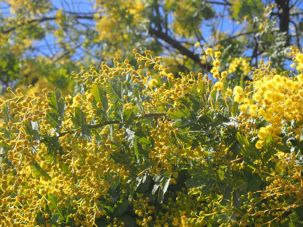 P3020838.JPG