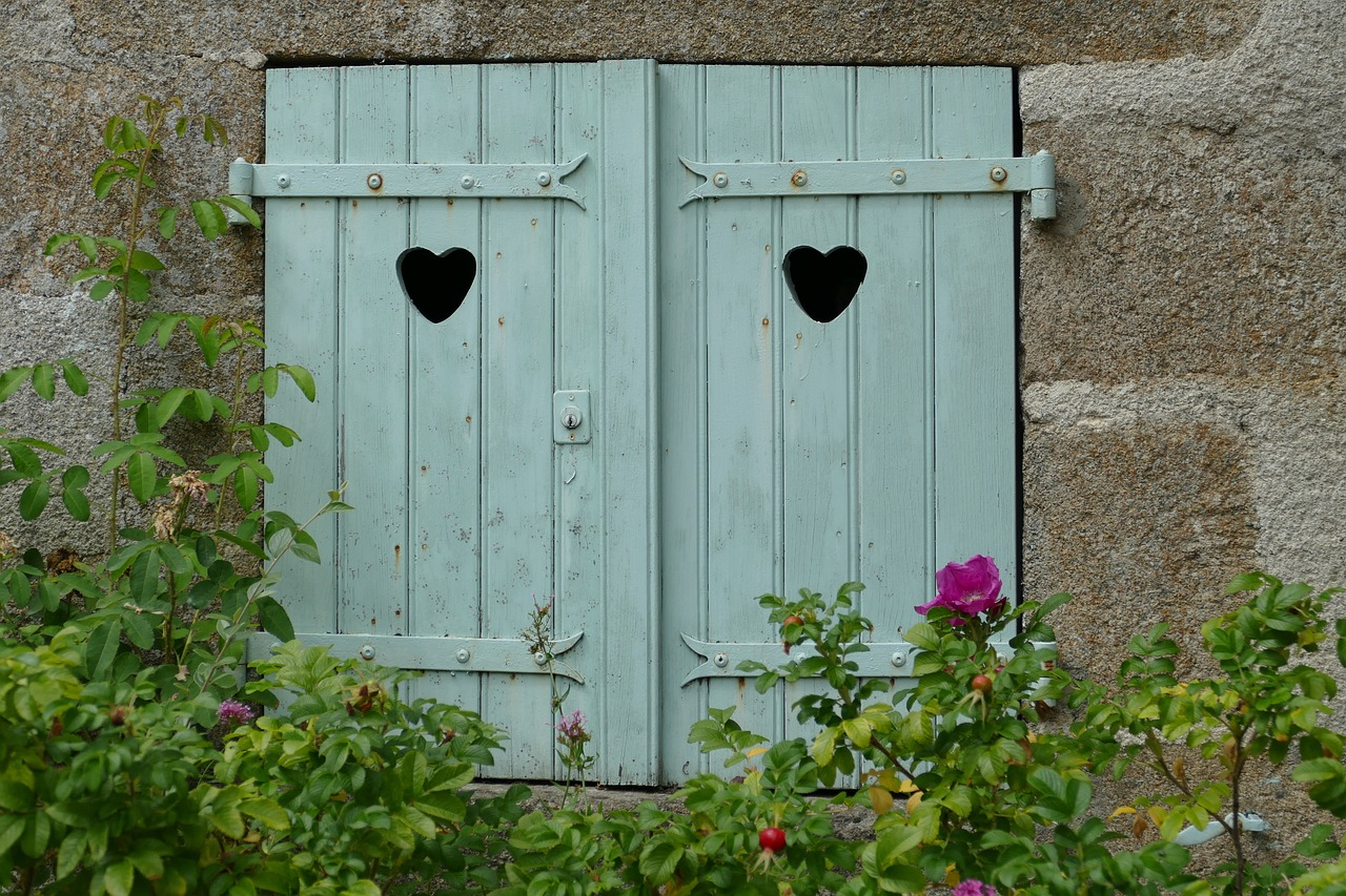 shutter-2655692_1280.jpg