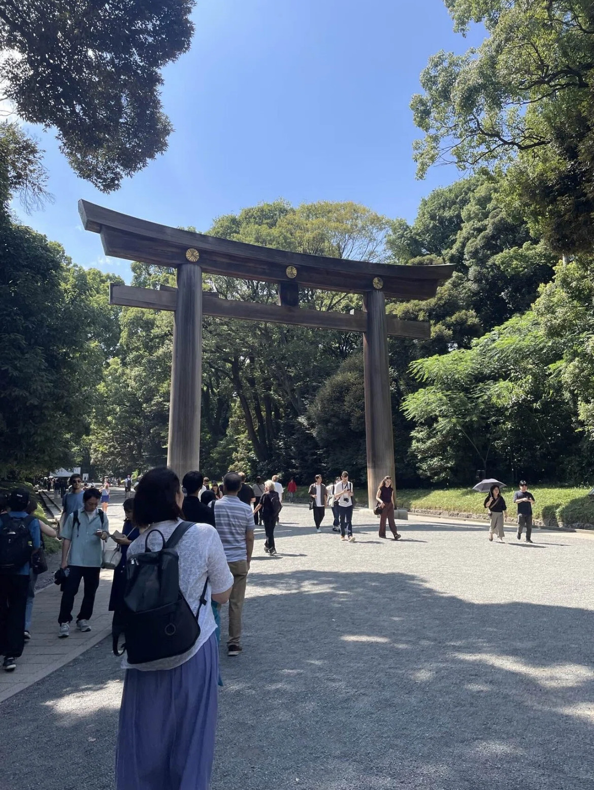 IMG_0132.jpeg