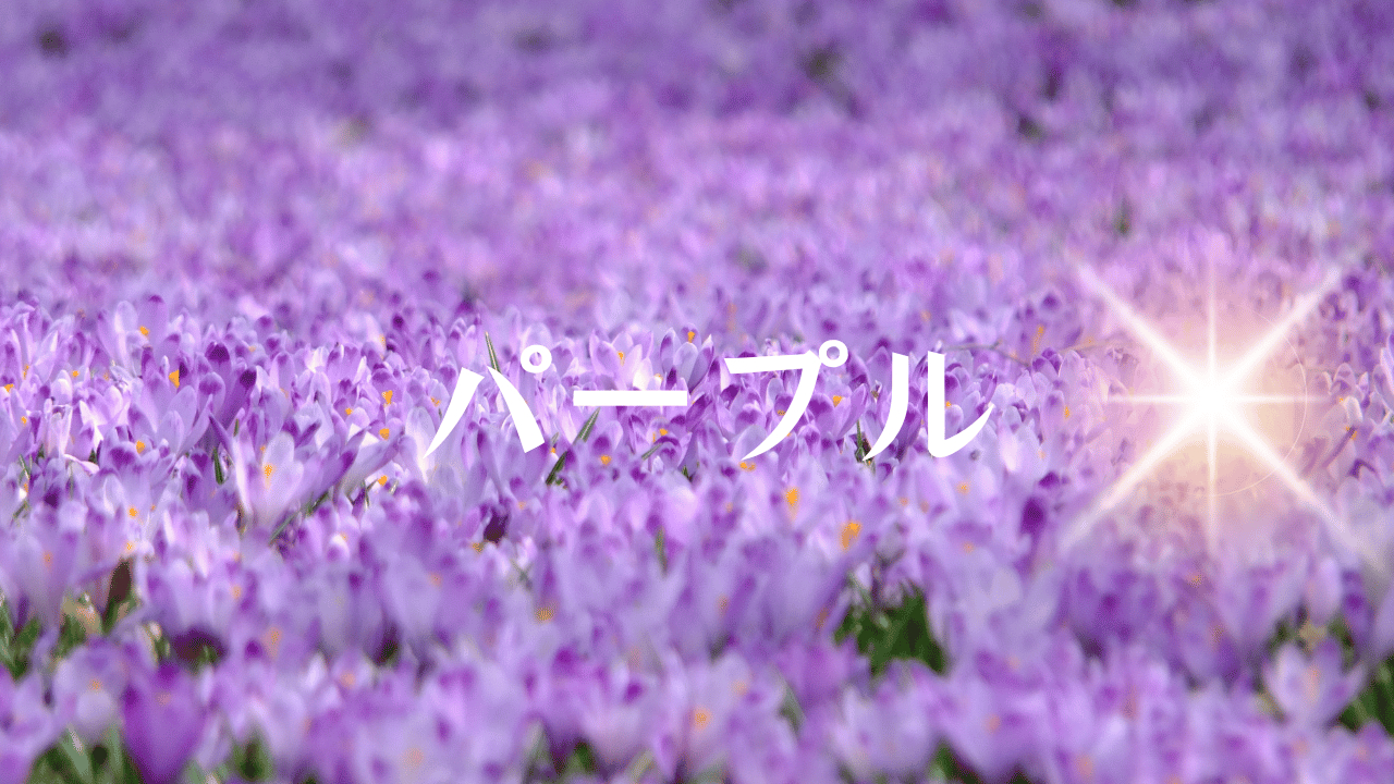 見出しを追加 (19).png