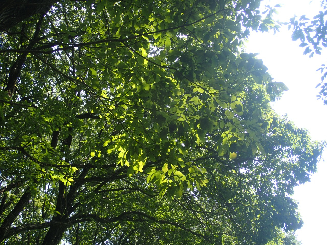 P8050700.JPG