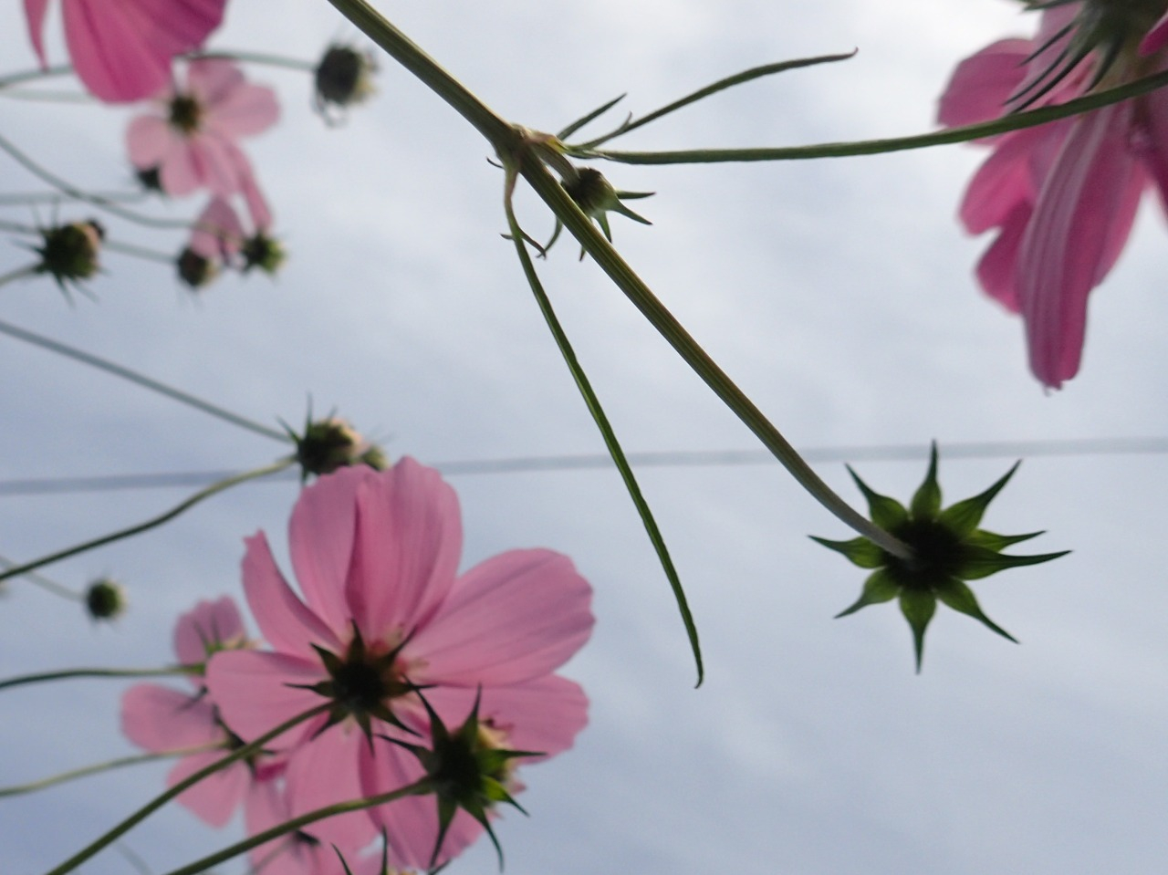 PB080100.JPG
