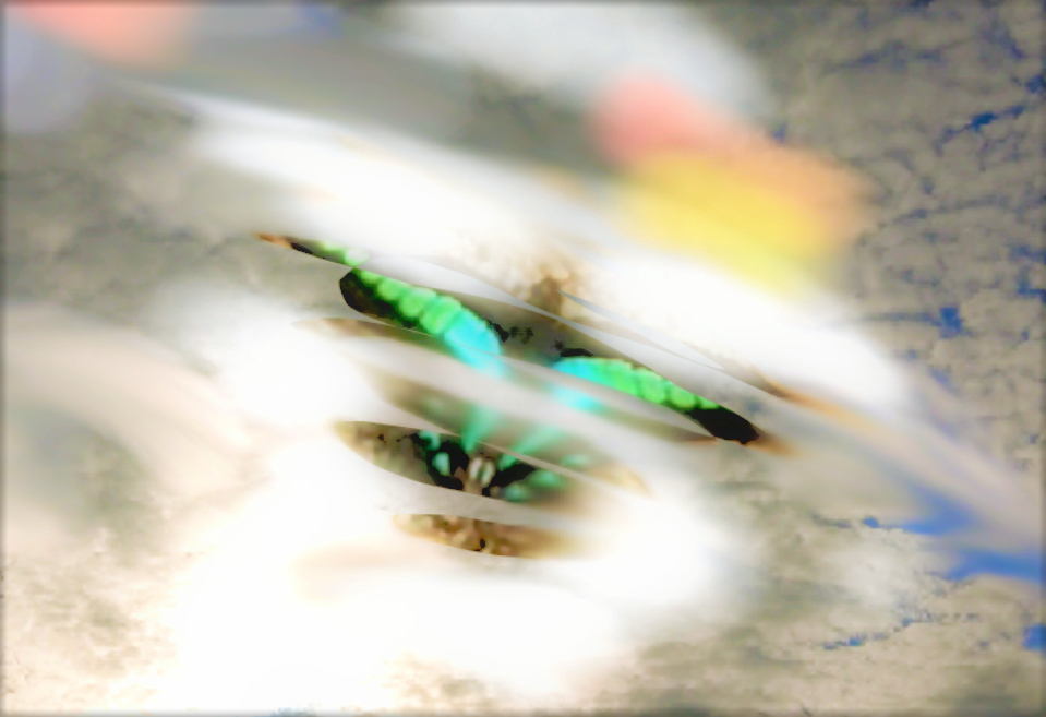 sketch-1671340708053 (3).png