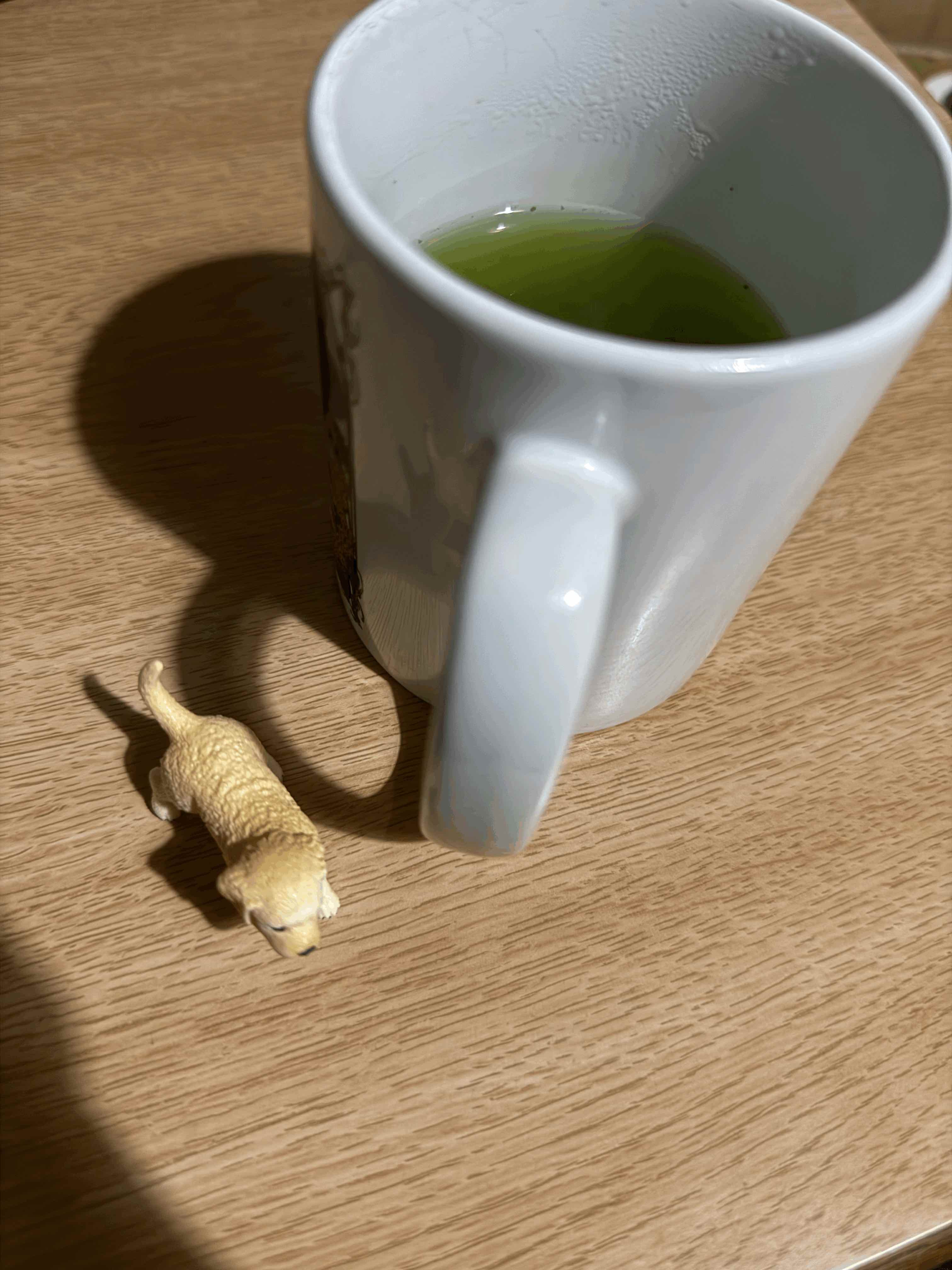 tempImageWBxS6r.gif