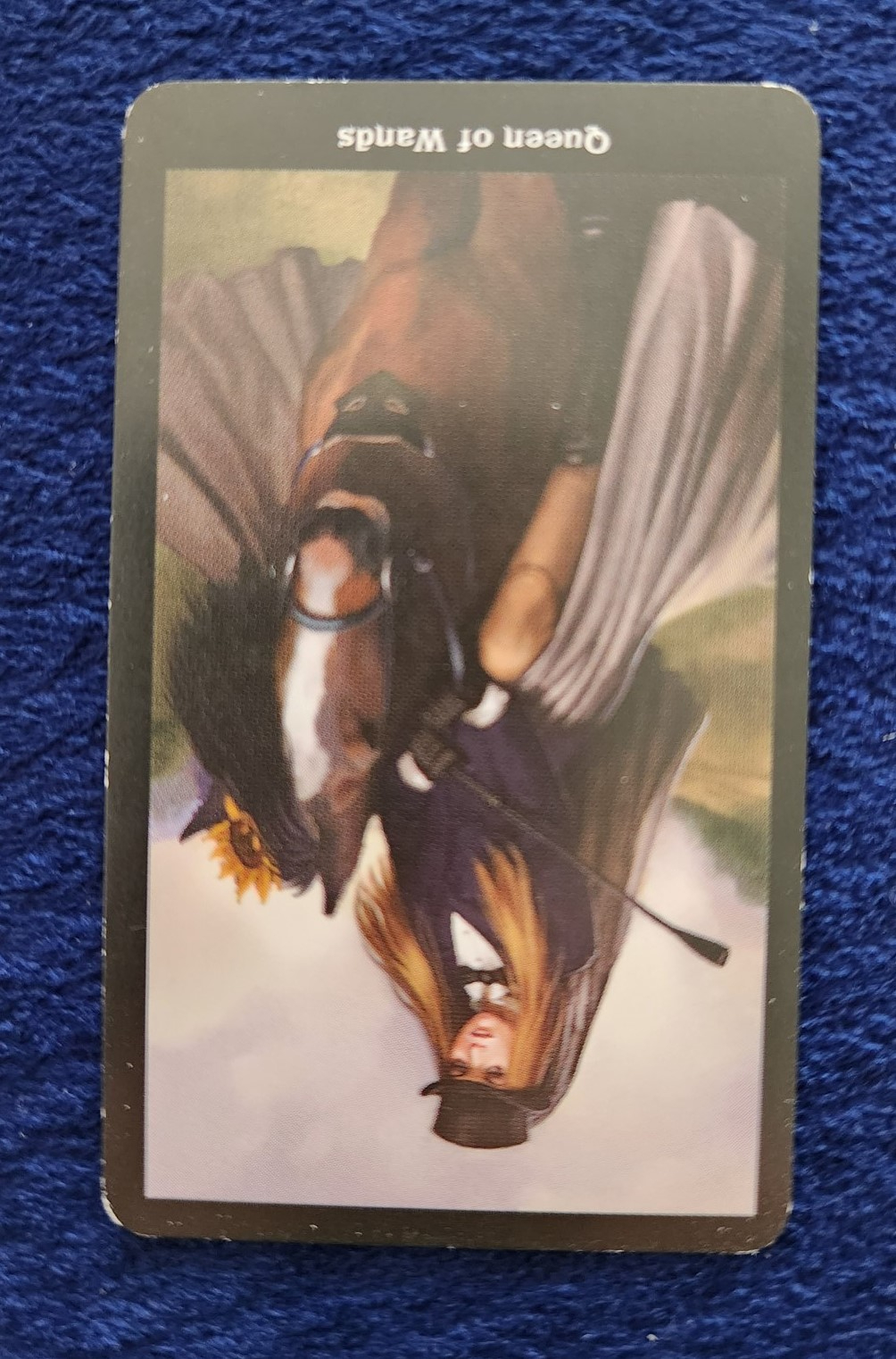 20231021_113248 (002).jpg