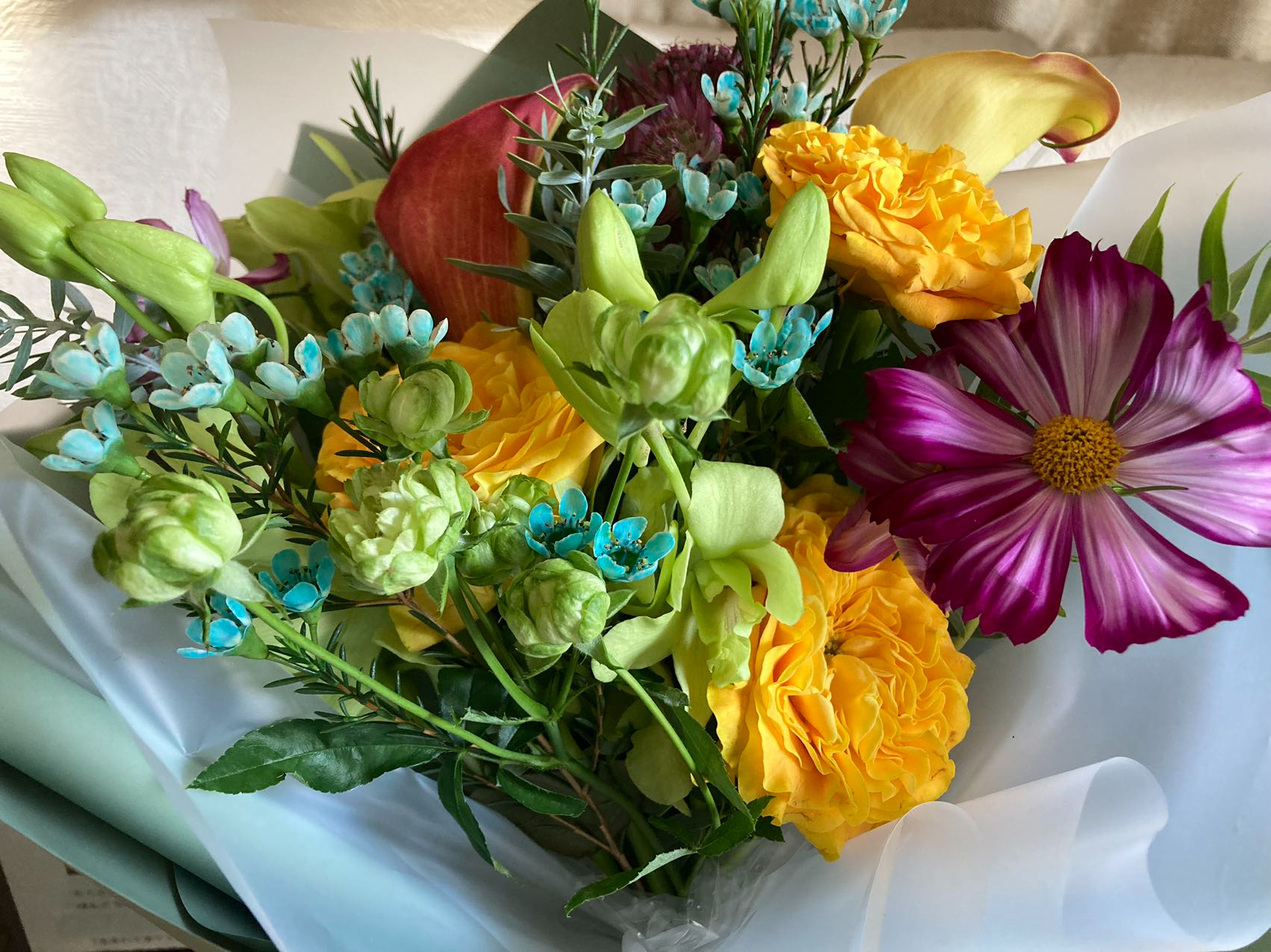 WeChat Image_20230830083248.jpg