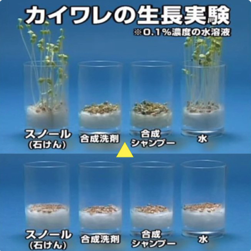 スクリーンショット 2024-07-15 12.37.13.png