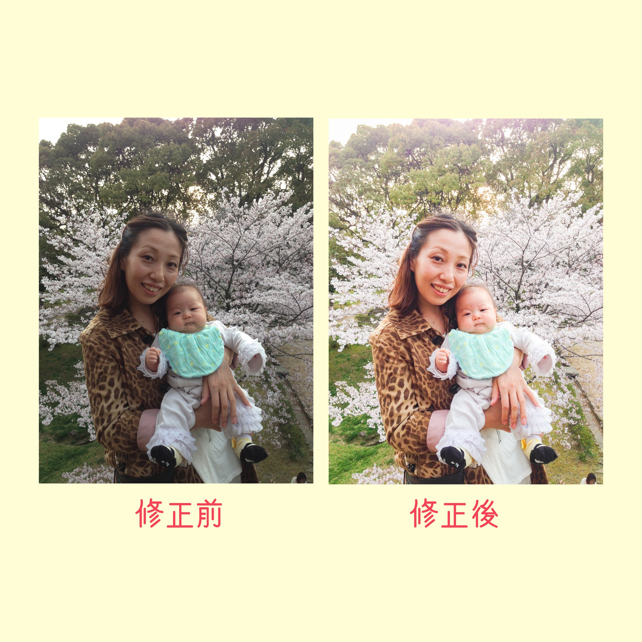 修正比較.jpg