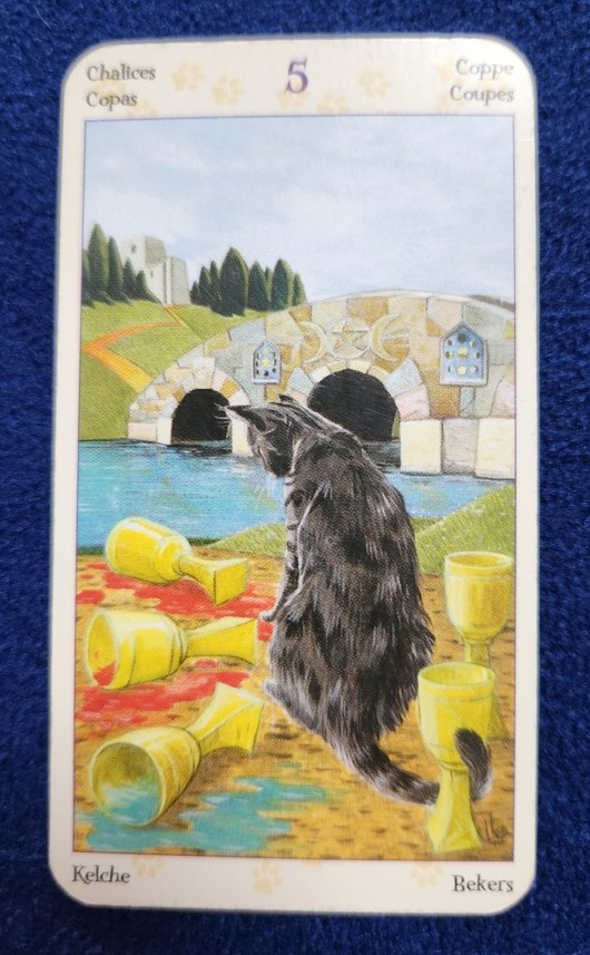 20230816_083422 (002).jpg