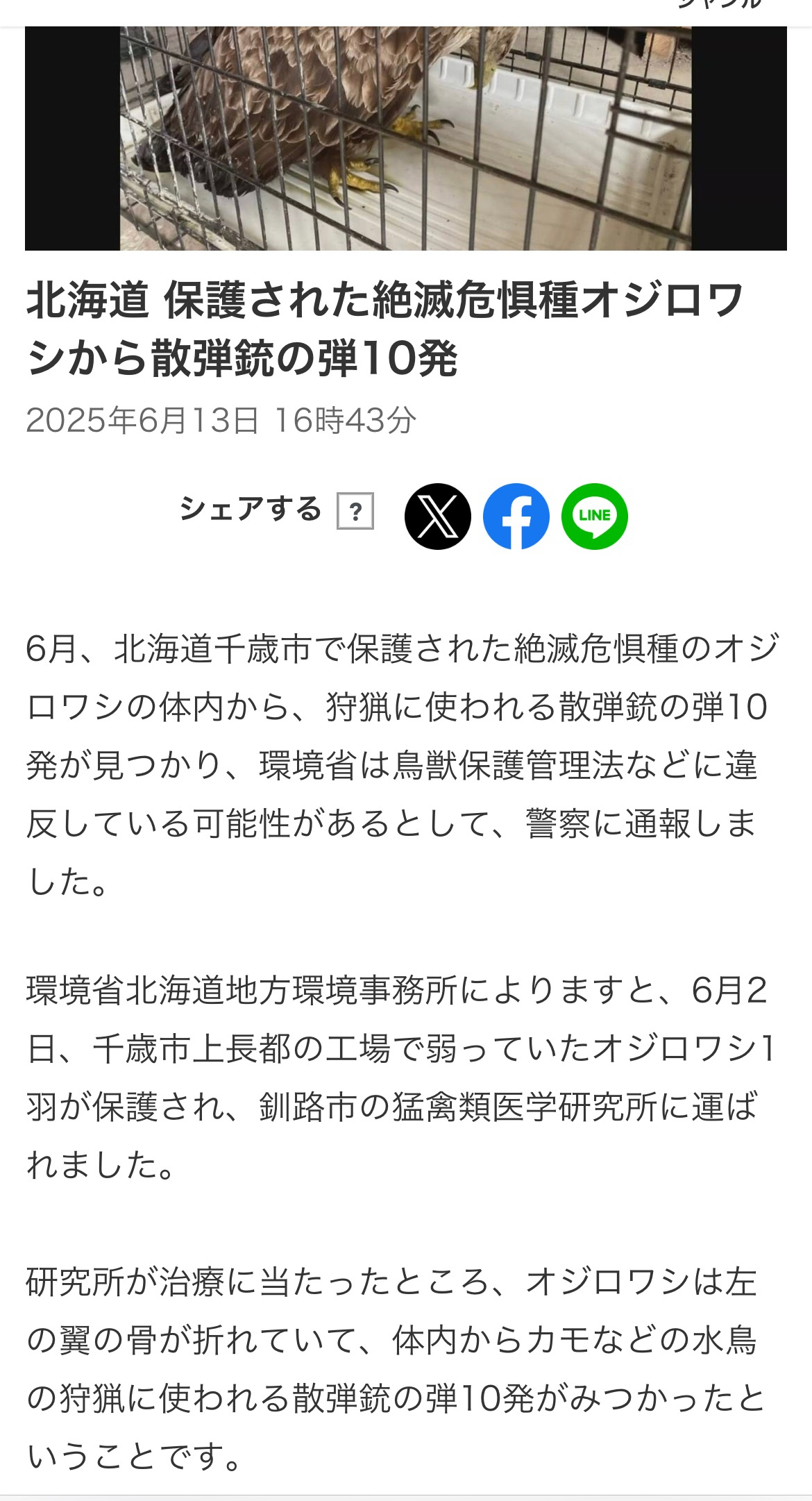 77A47BE7-9610-4C50-96CA-7FFBAED94542.jpeg