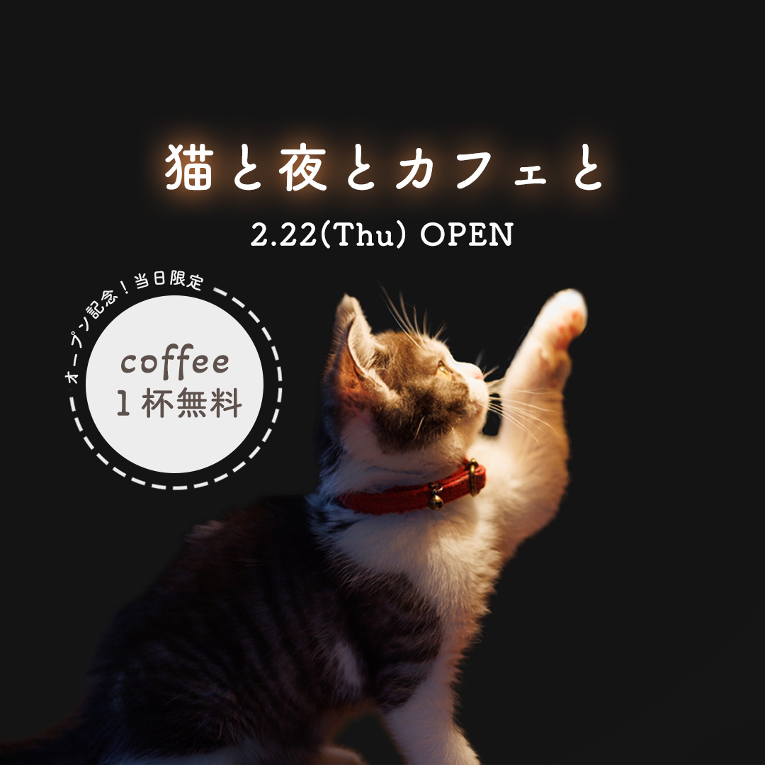 猫カフェ.jpg