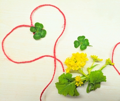 31867042_s - コピー.jpg