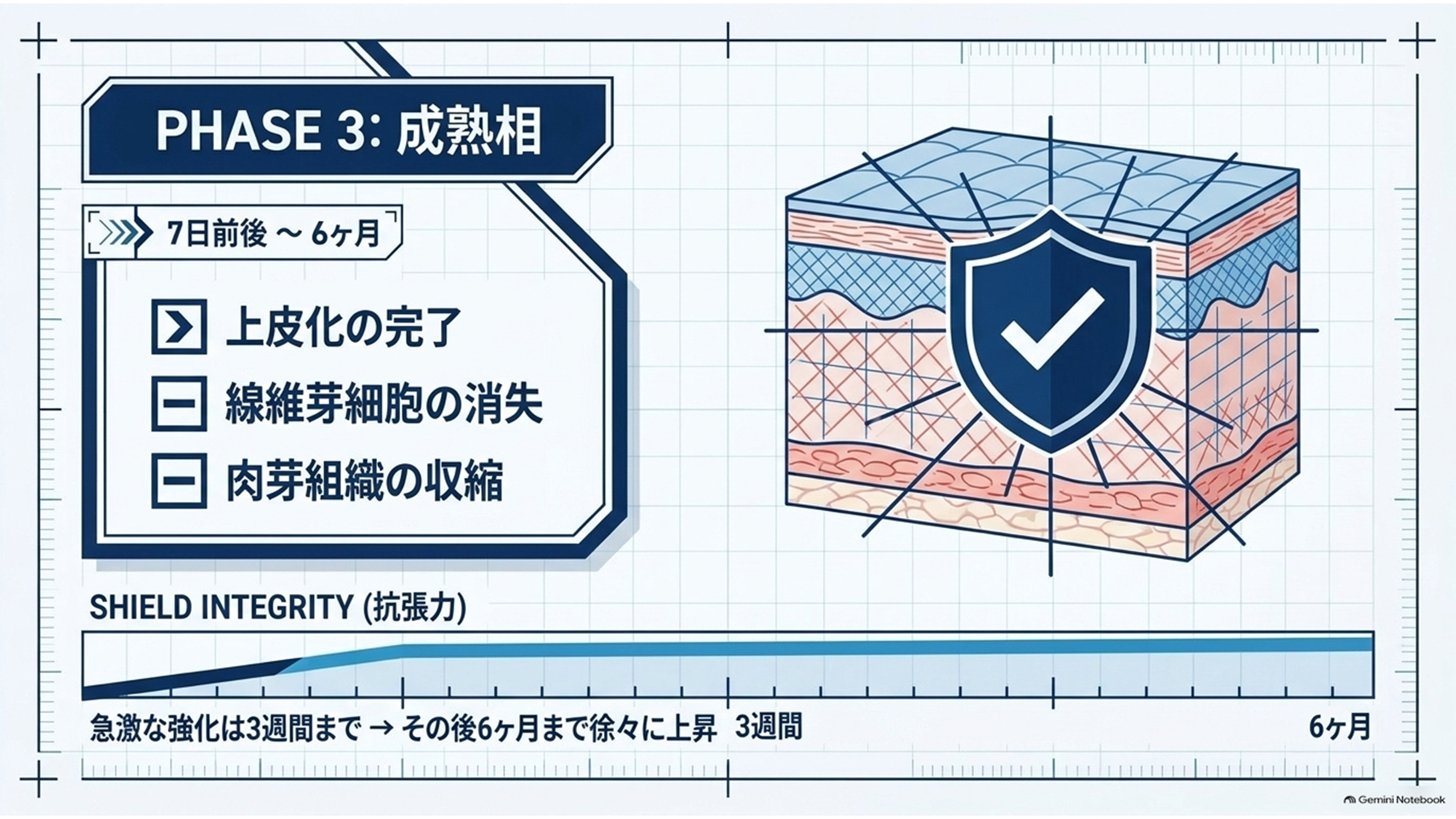 スライド6.PNG
