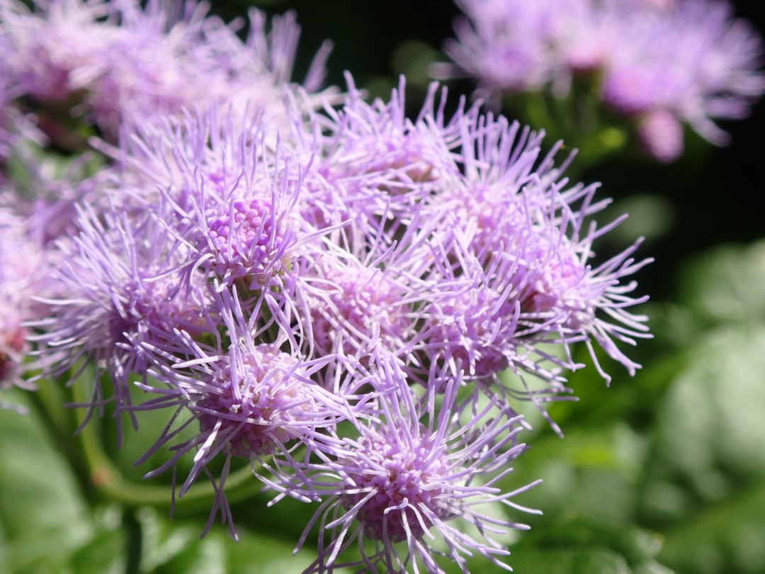 PA100639.JPG