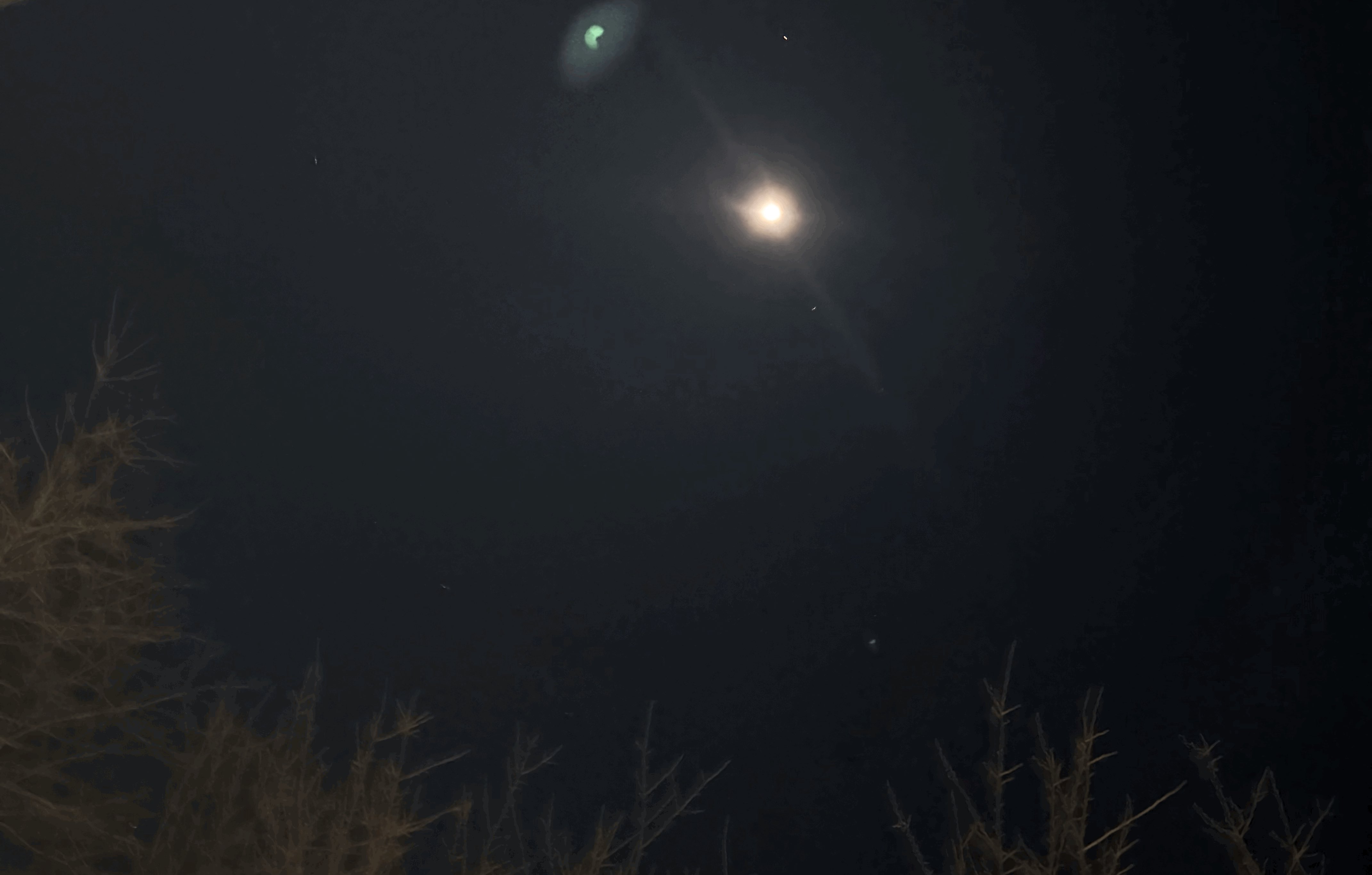 tempImageE8Clc0.gif