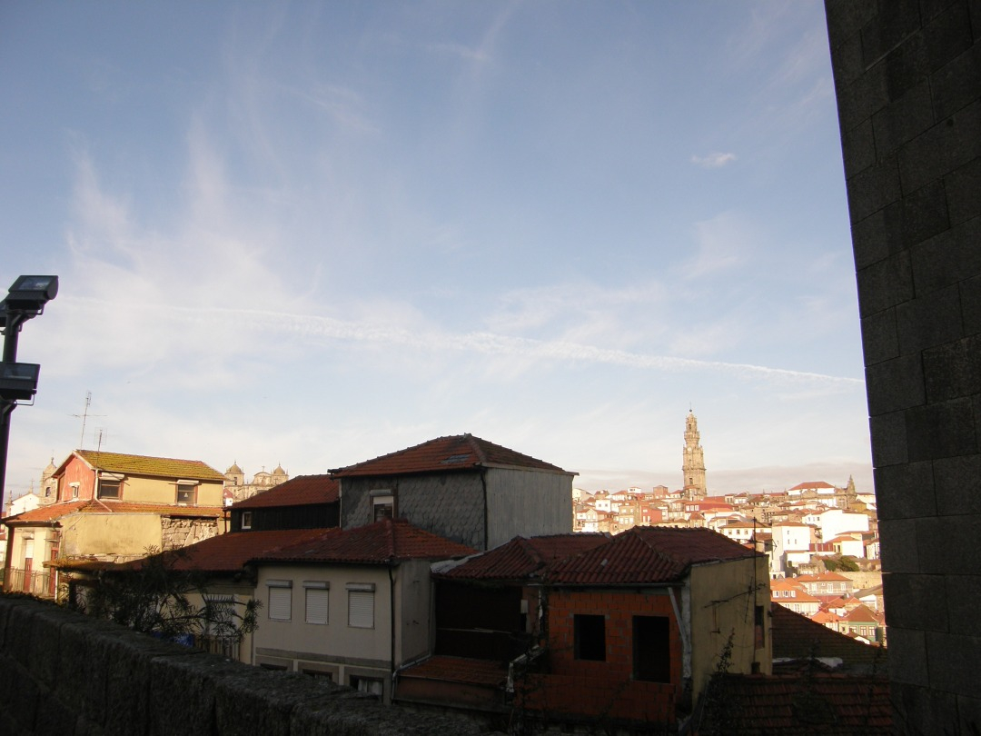 P1240554.JPG