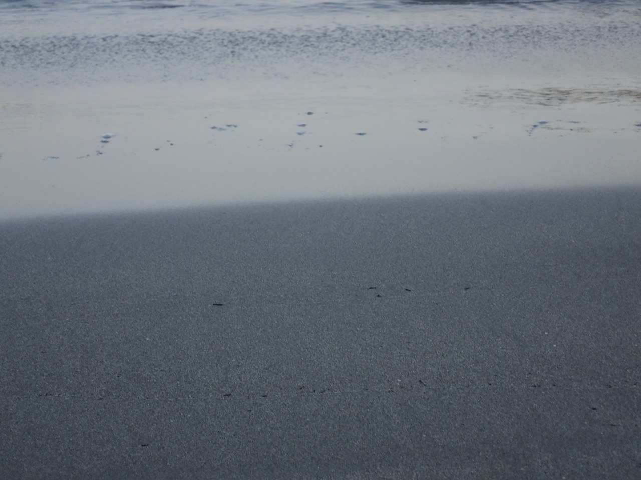 P8110159.JPG