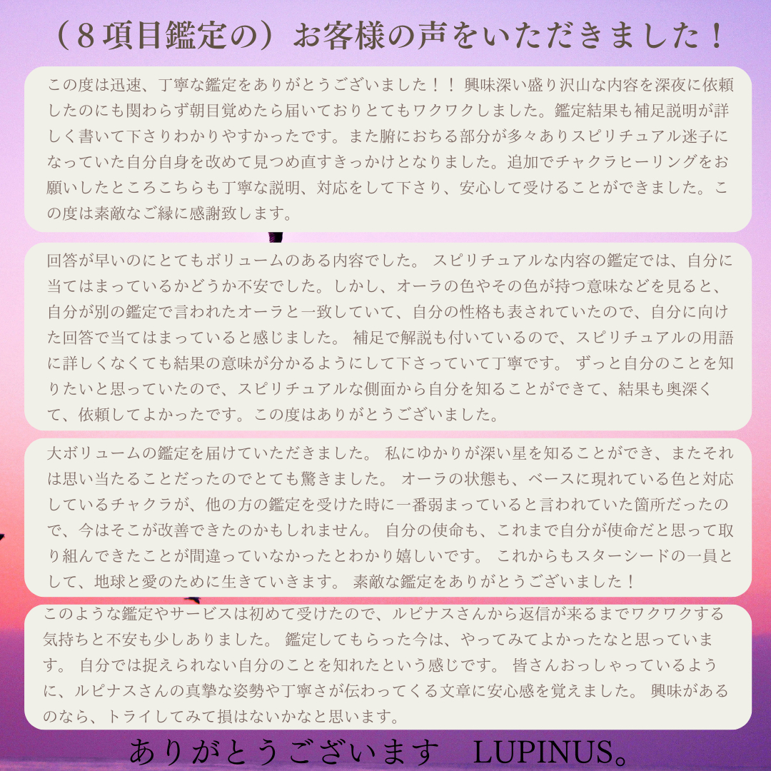 ８項目鑑定感想 (3).png