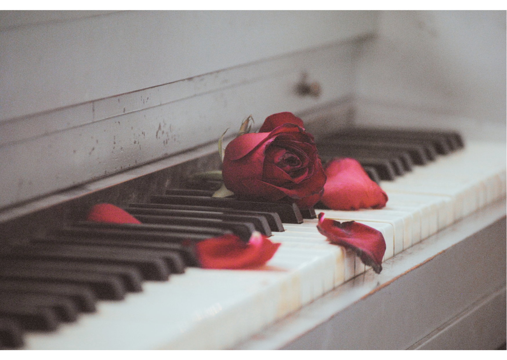 名称未設定のデザイン - 2023-11-23T010722.750.png