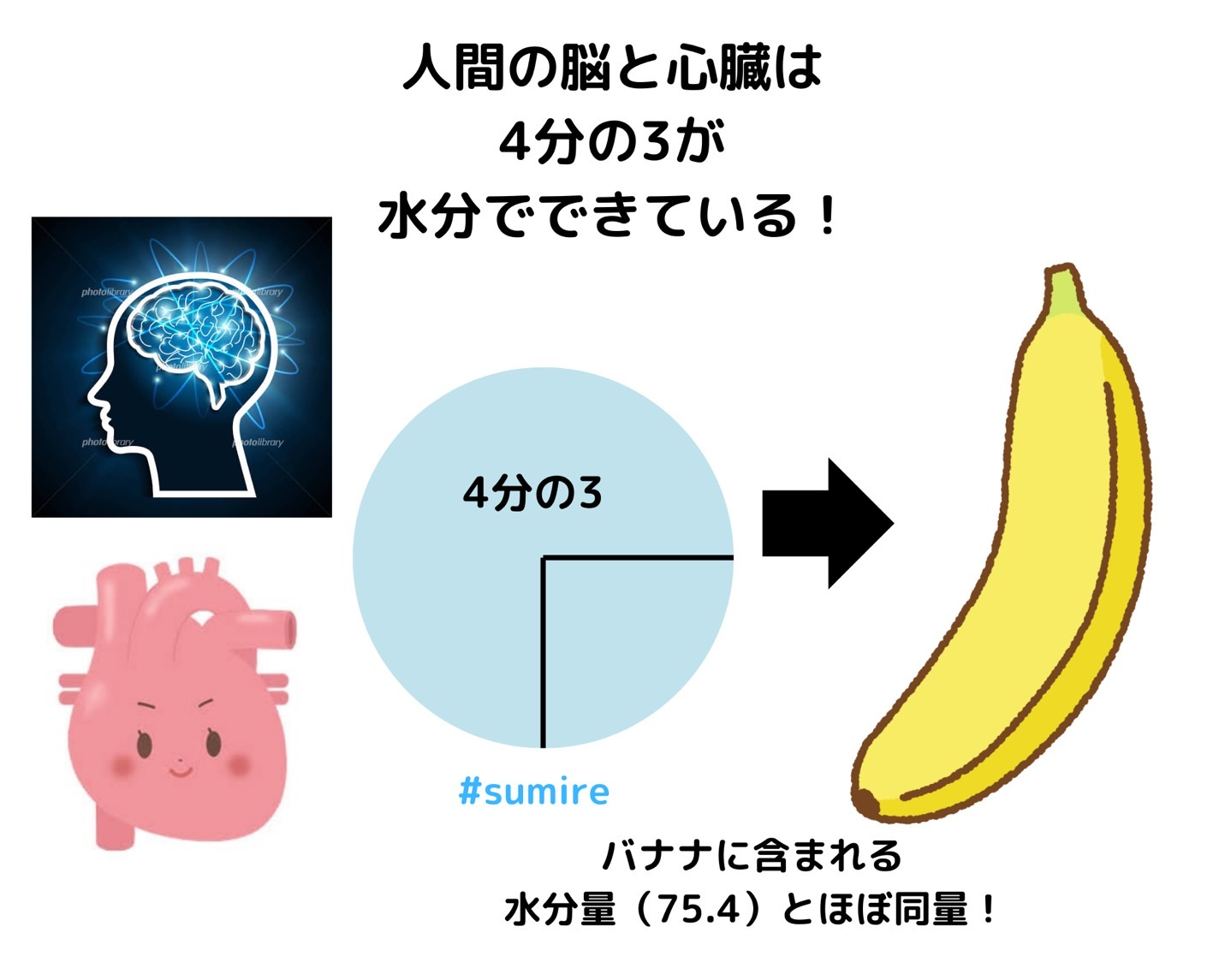 S__78659598.jpg