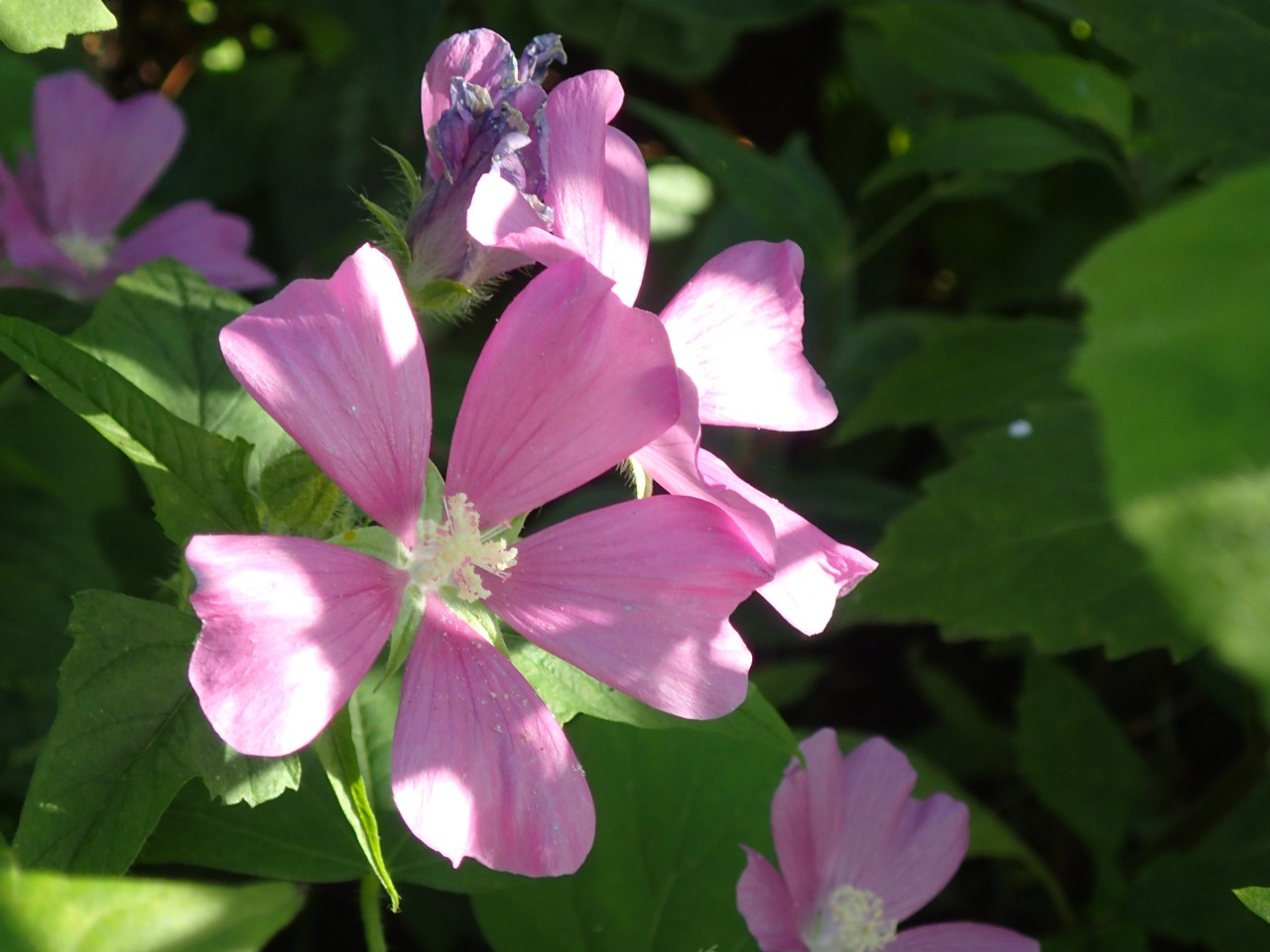 PB160543.JPG