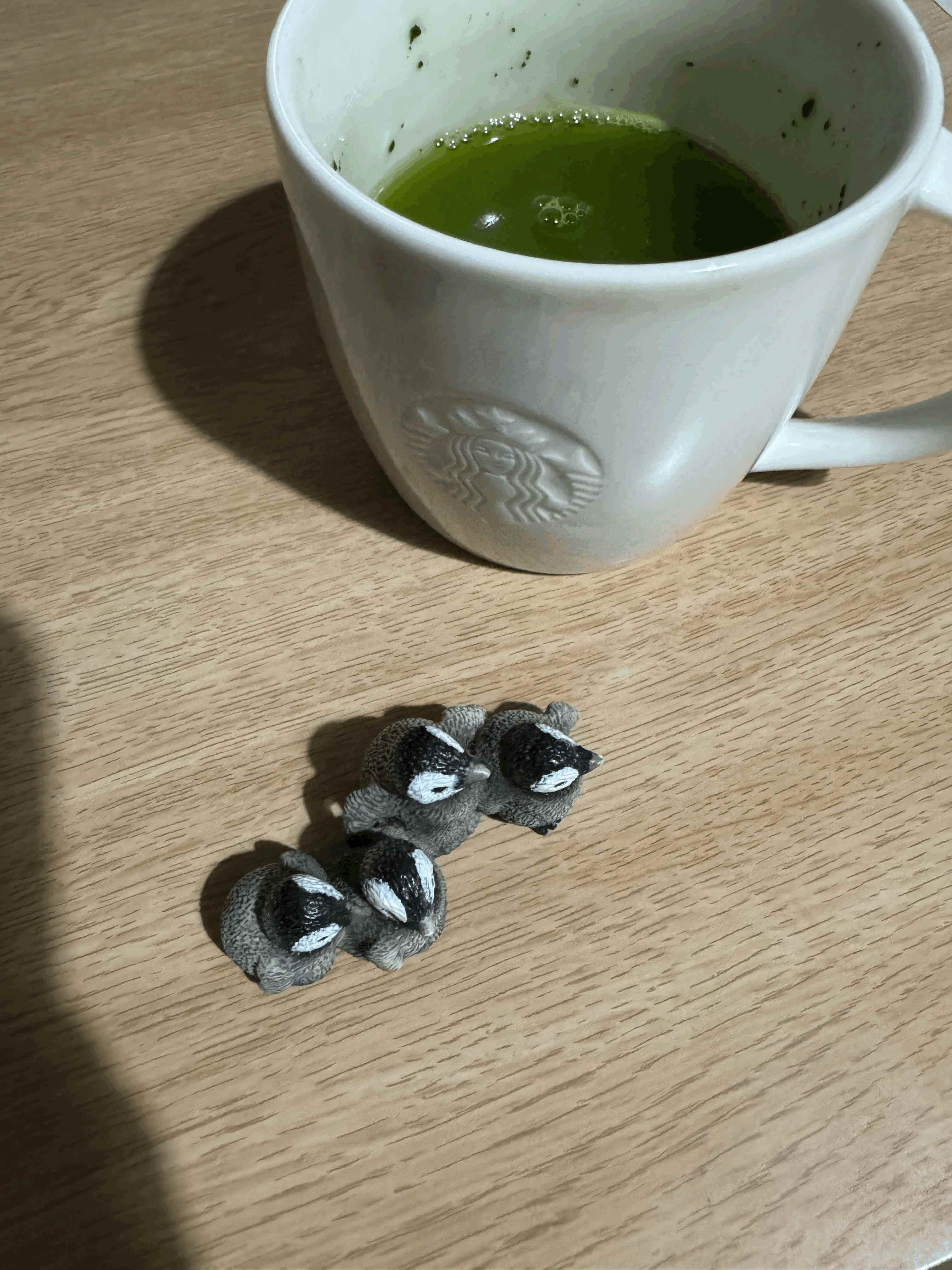 tempImageearUON.gif