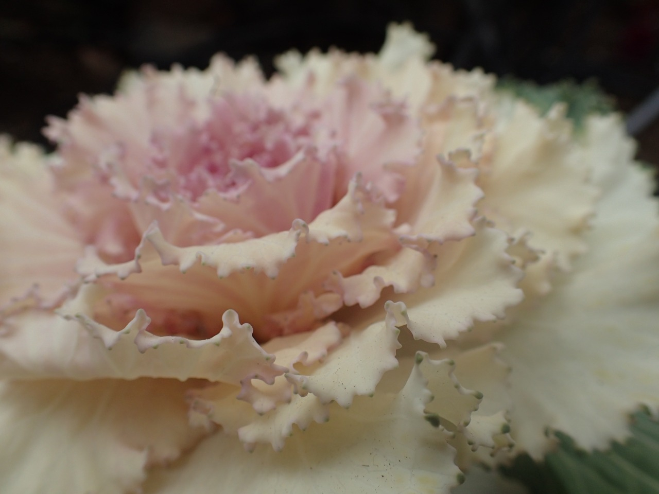 PC220138.JPG