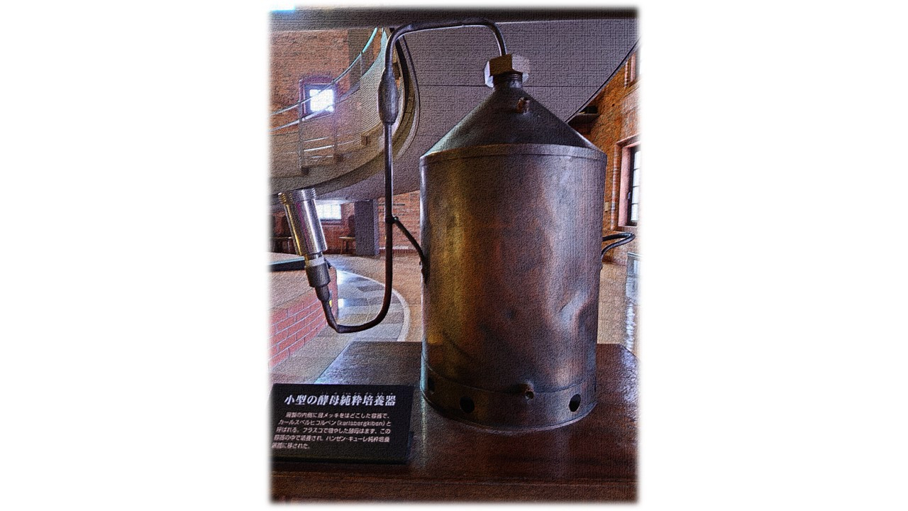 酵母純粋培養器　2月のスライド.jpg