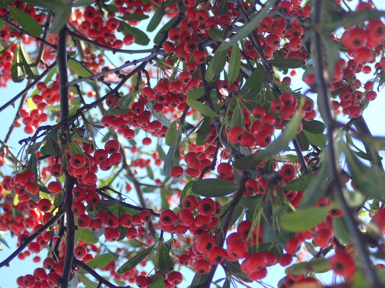 PA220414.JPG
