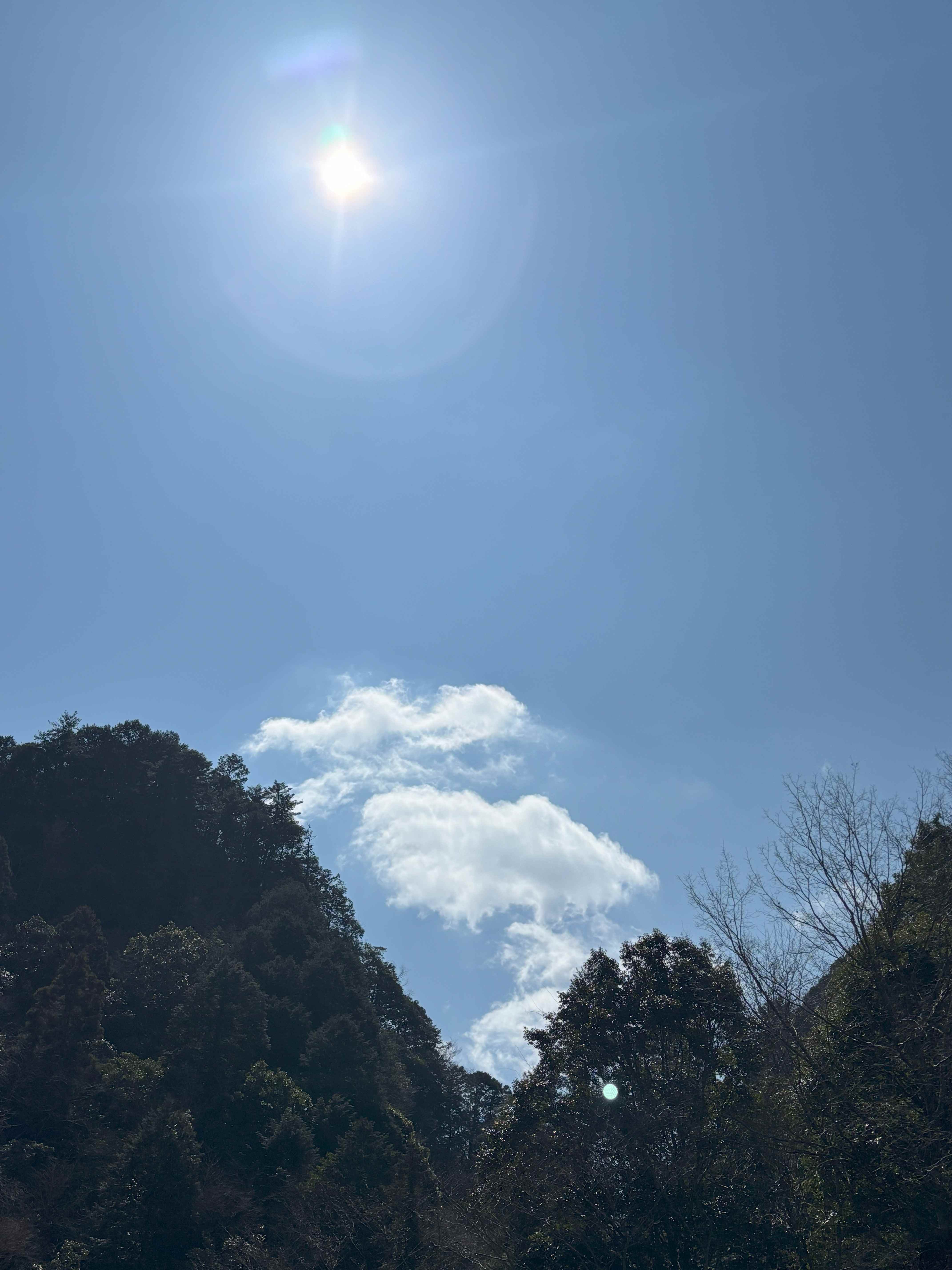 IMG_4931.jpeg